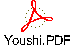 Youshi.PDF