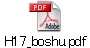 H17_boshu.pdf