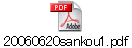 20060620sankou1.pdf