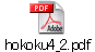 hokoku4_2.pdf