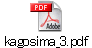 kagosima_3.pdf