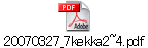 20070327_7kekka2~4.pdf