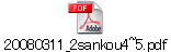 20080311_2sankou4~5.pdf