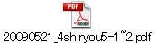 20090521_4shiryou5-1~2.pdf