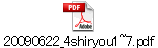 20090622_4shiryou1~7.pdf