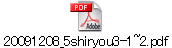 20091208_5shiryou3-1~2.pdf