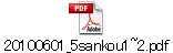 20100601_5sankou1~2.pdf